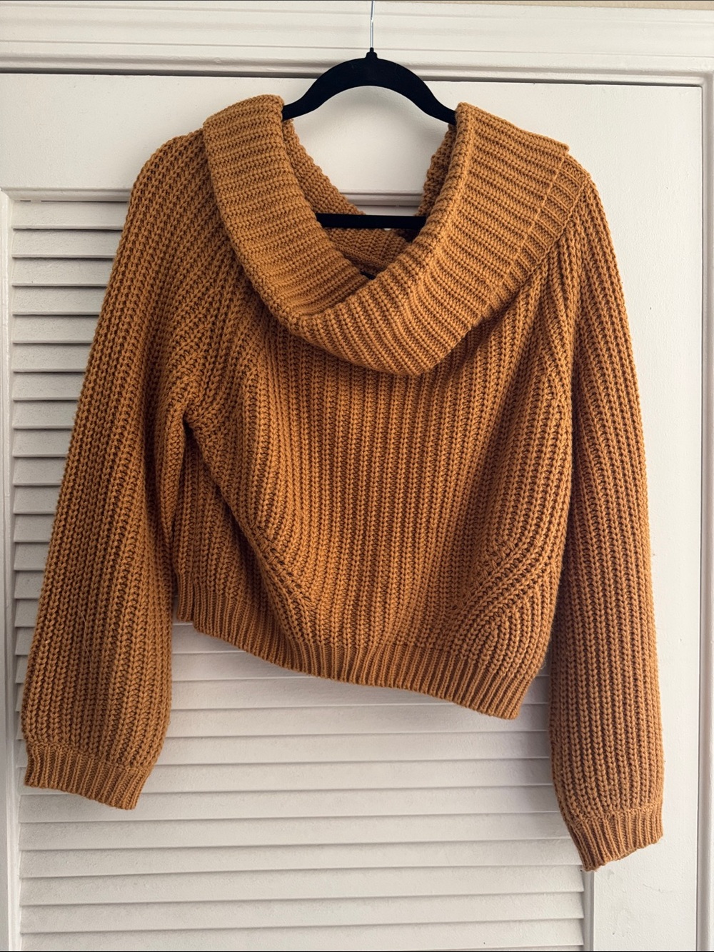 Lulu Cozy Cropped Cowl Neck Sweater